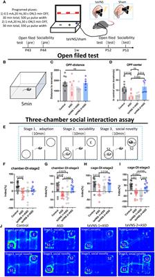 Transcutaneous auricular vagus nerve stimulation improves social deficits through the inhibition of IL-17a signaling in a mouse model of autism